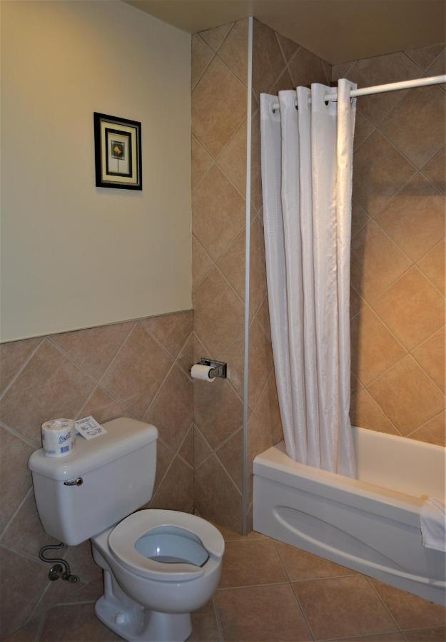 Motel Quatre Saisons Форествілл Екстер'єр фото